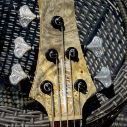 2015 Warrior Isabella 5 String 20th Anniversary Bass