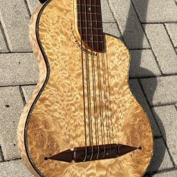 2001 Rick Turner Renaissance RB5-F 5-String Fretless Bass