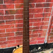 2001 Rick Turner Renaissance RB5-F 5-String Fretless Bass