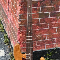 1998 Trace Elliot T-Bass 4-String Bass