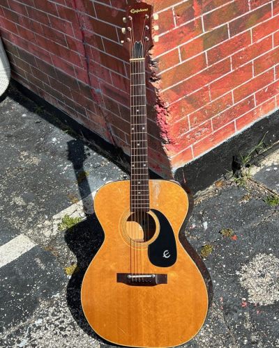 1974 Epiphone FT-120