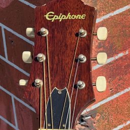 1974 Epiphone FT-120