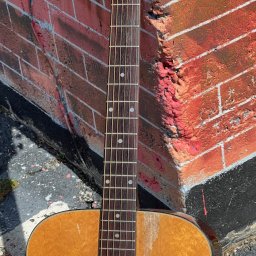 1974 Epiphone FT-120