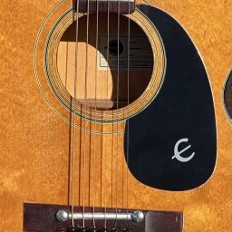 1974 Epiphone FT-120