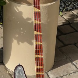 2015 Rickenbacker 4005LS Lightshow Bass