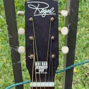 1955 Regal S-65 Parlor guitar