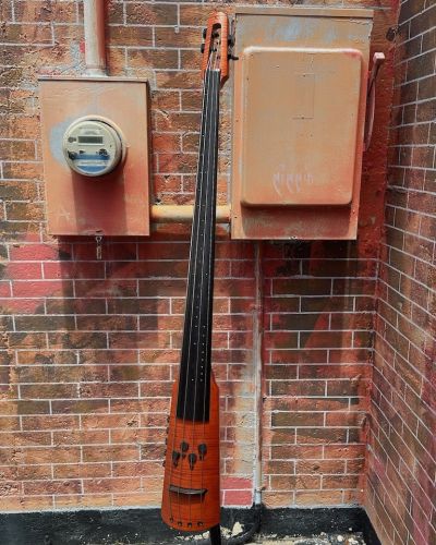 2015 NS Design CR4M 4-string Upright Bass