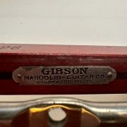 1918 Gibson GB-6 6-string Guitar Banjo