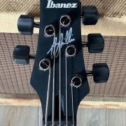 2015 Ibanez Gary Willis Signature 5 String “Fretted” GWB35FD Bass