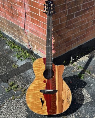 2022 Luna Vista Eagle A/E Guitar