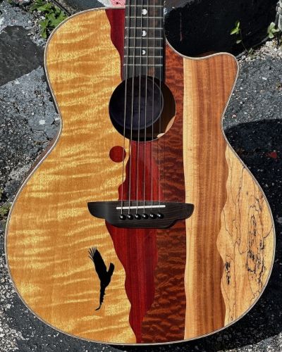 2022 Luna Vista Eagle A/E Guitar