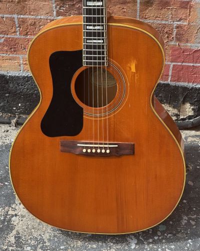 1966 Guild F-50 Bl. L.H.